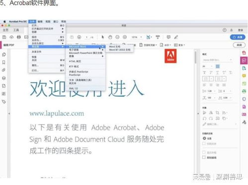 PDF表格制作與Acrobat軟件下載 全面玩轉數據處理與存儲支持服務